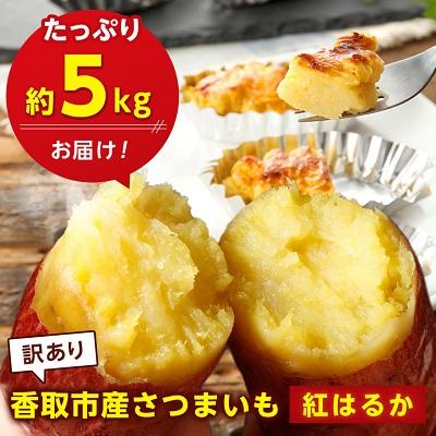 ふるさと納税 香取市 香取市産 さつまいも紅はるか 約5kg×1