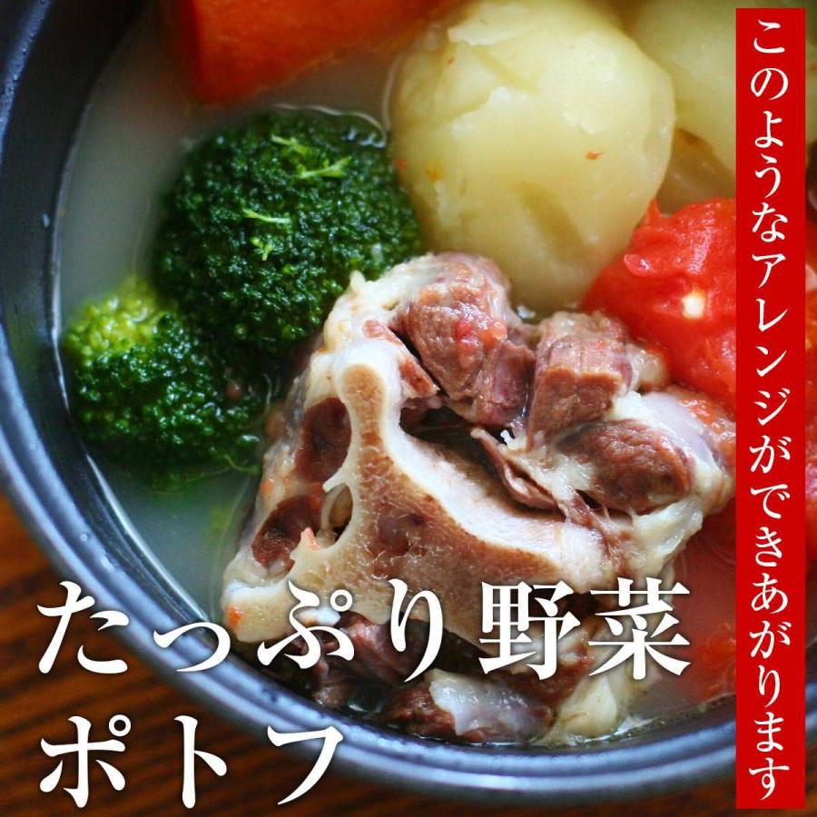 テールスープ 5パック 冷凍 焼肉屋が作った美味い国産