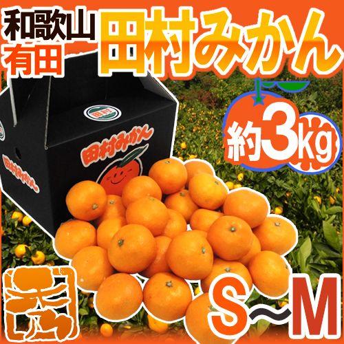 みかん 和歌山有田産 ”田村みかん” 秀品 S〜M 約3kg 化粧箱 送料無料