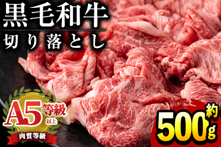 鹿児島県産黒毛和牛！A5等級の切り落とし(約500g)