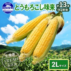 2024年 先行受付 北海道 倶知安 とうもろこし 味来(みらい) 2Lサイズ 5kg前後 産地直送