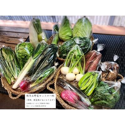 ふるさと納税 西洋野菜と季節の鹿児島野菜セット（4〜6人ご家族用） 鹿児島県大崎町