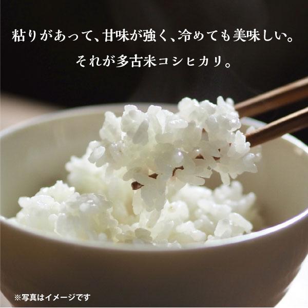 ＜令和5年度産＞送料無料　萩原さん家の多古米(白米10kg）