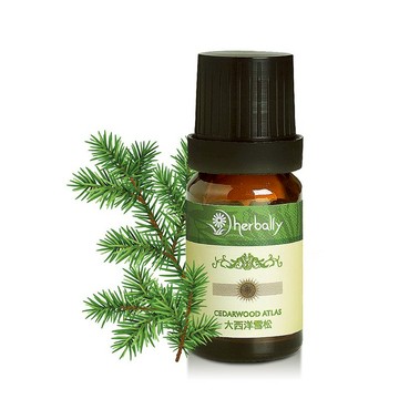 純天然單方精油-大西洋雪松【無毒香氛】 -紓壓放鬆|情人節禮物