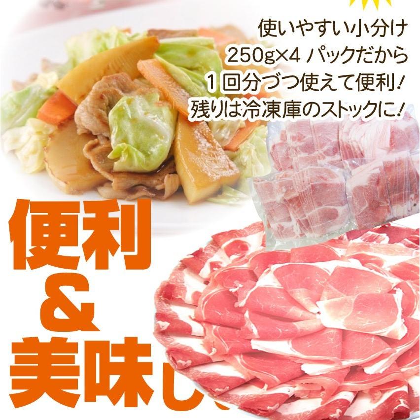 豚肉 スライス ウデ 切り落とし 国産 1kg 250g×4 メガ盛り うで 炒め物 豚 肉