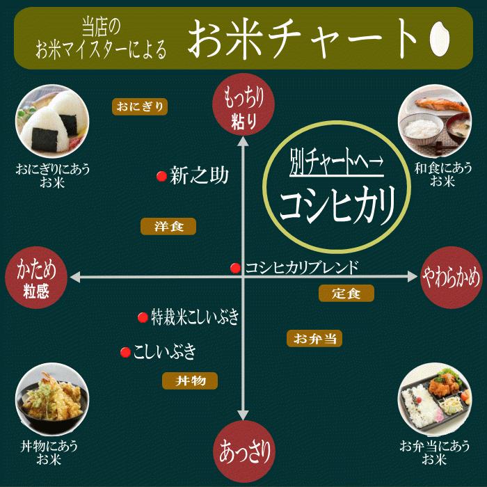 新米 送料無料 令和５年産 新潟産こしいぶき 10kg(5kg×2袋) おこめ 精米 新潟