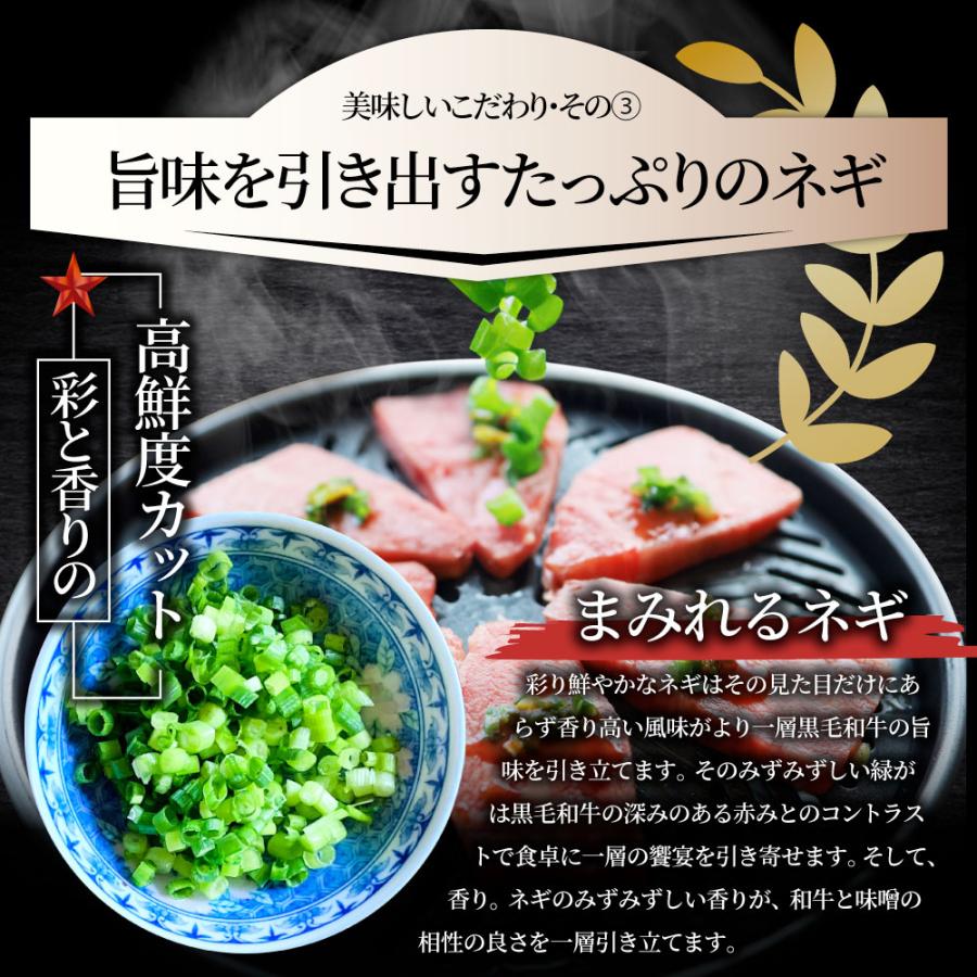 A4,A5等級 特選 黒毛和牛 カルビ焼肉 250g  ねぎまみれ 旨辛味噌ダレ ギフトボックス付 牛肉 肉 お歳暮 ギフト 食品 お祝い  霜降り 贅沢 黒毛 和牛