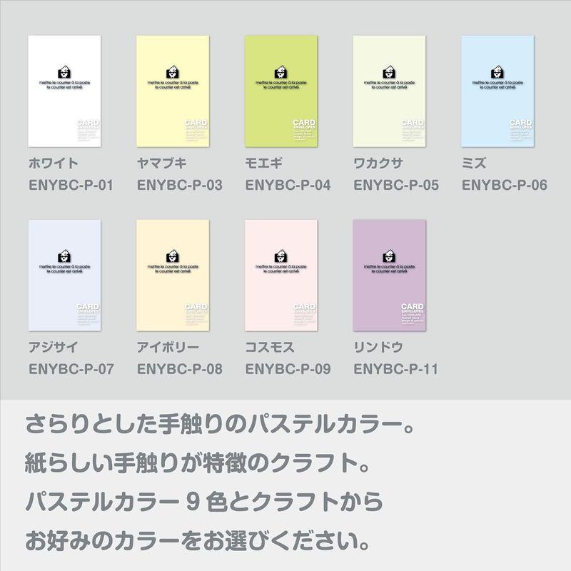 エトランジェディコスタリカ エトランジェ・ディ・コスタリカ 封筒 3点セット PASTEL 名刺サイズ モエギ 0001-BENYBC-P-03