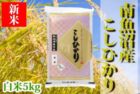 南魚沼産コシヒカリ「YUKI」(白米5kg)×全6回