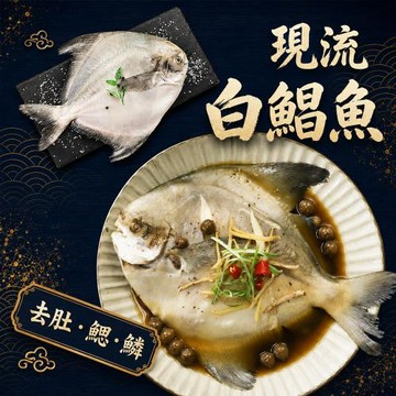 築地一番鮮 野生白鯧魚 500g X 3尾組