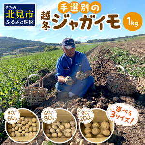 宇野さんの手拾い、手選別の越冬ジャガイモ 1kg 　( 芋 野菜 選べる