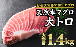 天然本マグロ  大トロ 　大満足1.4kg　CH-71