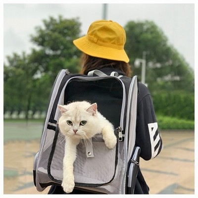 おしゃれ ペットキャリーバッグ 旅行 手提げ メッシュ ペットハウス ...