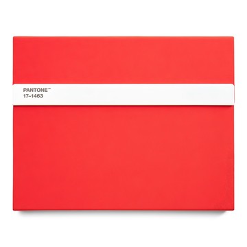 PANTONE 線條商務筆記本  橘色  1本
