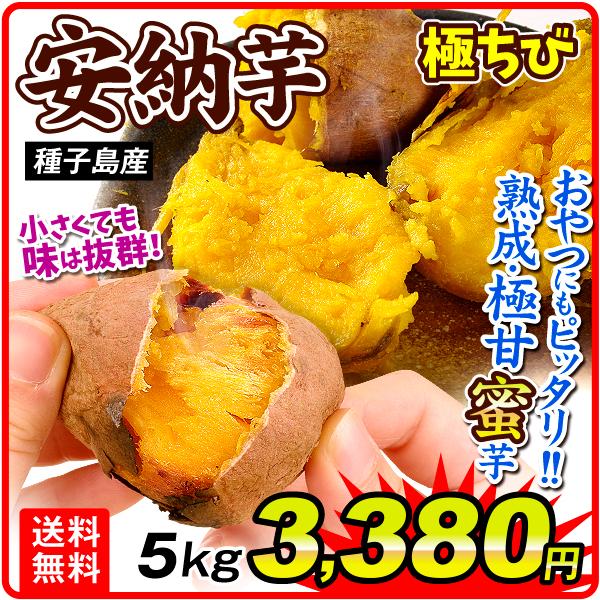 さつまいも 5kg 安納芋・極ちび 種子島産 ご家庭用 送料無料 食品