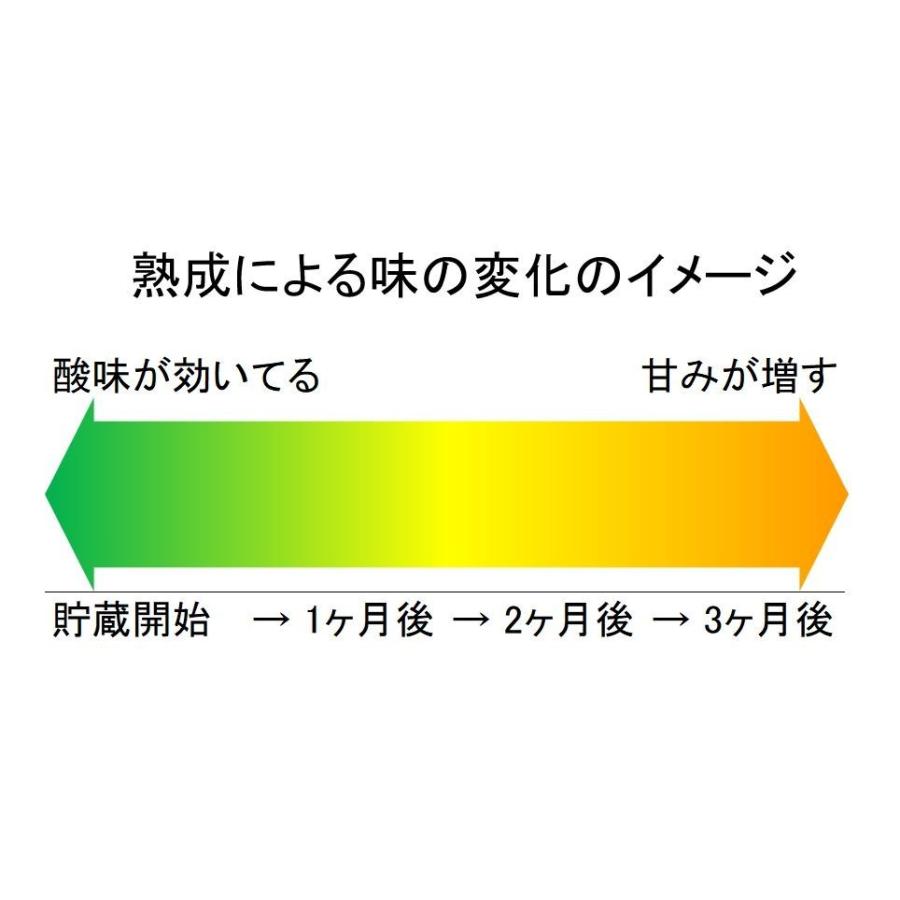 山口周防大島産『みかん 贈答用Lite 中箱 約4.8kg』(箱込約5kg)