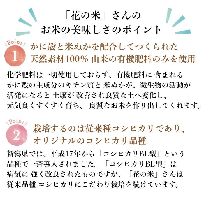 令和５年産　新潟県上越産　特別栽培米　越後かに米こしひかり　精米白米３合×３個入