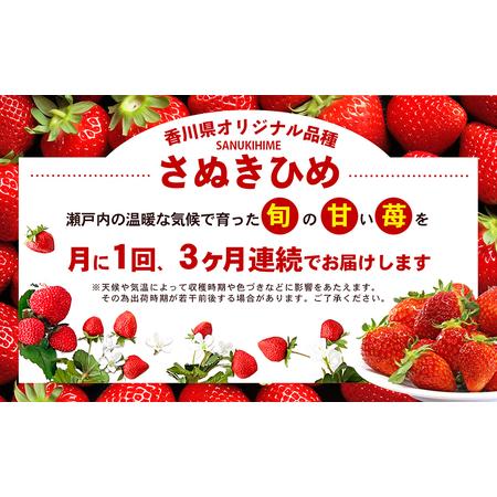 ふるさと納税 東かがわ市真っ赤な「いちご」の定期便（B） 香川県東かがわ市