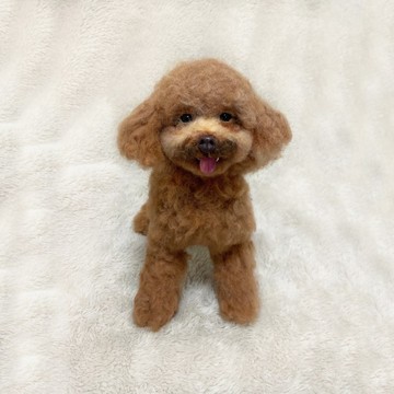 羊毛氈客製化寵物|貴婦犬貴賓犬|仿真擬真狗狗包玻璃罩|生日禮物