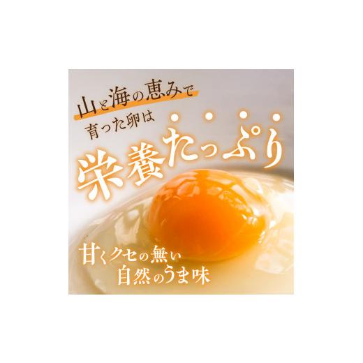 ふるさと納税 静岡県 下田市 24時間放牧卵＜下田ブルー6個入り＞×2パック