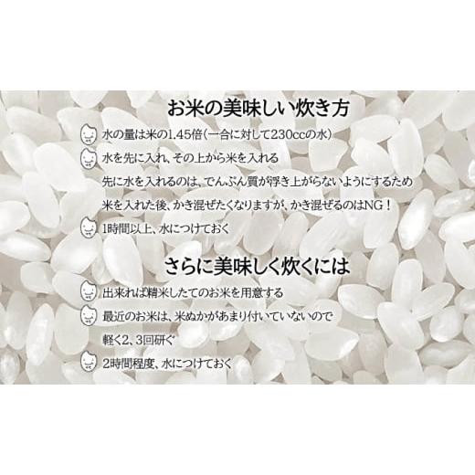 ふるさと納税 北海道 月形町 北海道 定期便 4ヵ月連続4回 令和5年産 ゆめぴりか 5kg×1袋 特A 精米 米 白米 ご飯 お米 ごはん 国産 ブランド米 肉料理 ギフト …