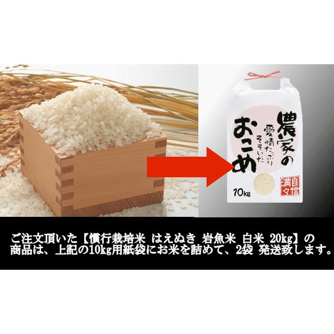 慣行栽培米はえぬき岩魚米 （令和5年産）白米 20kg