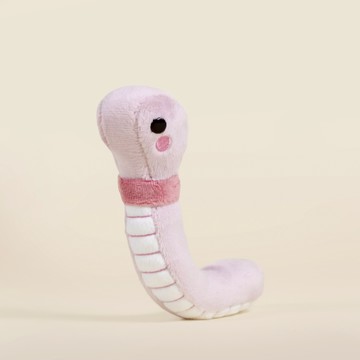 【Bellzi】 Mini Wormi 小蟲蟲