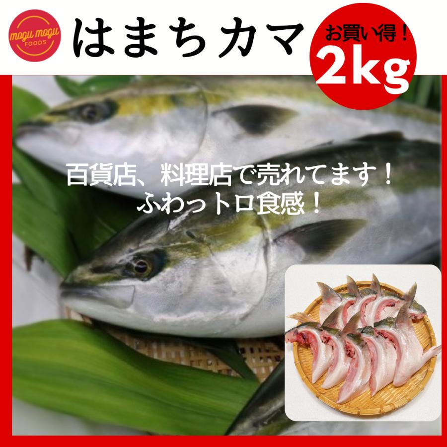 はまちカマ 2kg 養殖徳島県産 鯛カマ1kgプレゼント