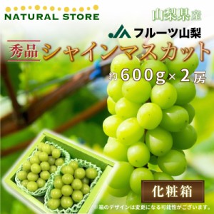 [最短順次発送]  山梨県 JA山梨 高級ハウス栽培 シャインマスカット 秀品 大房2房入り 約600g×2房 夏ギフト お取り寄せ 夏ギフト お中元