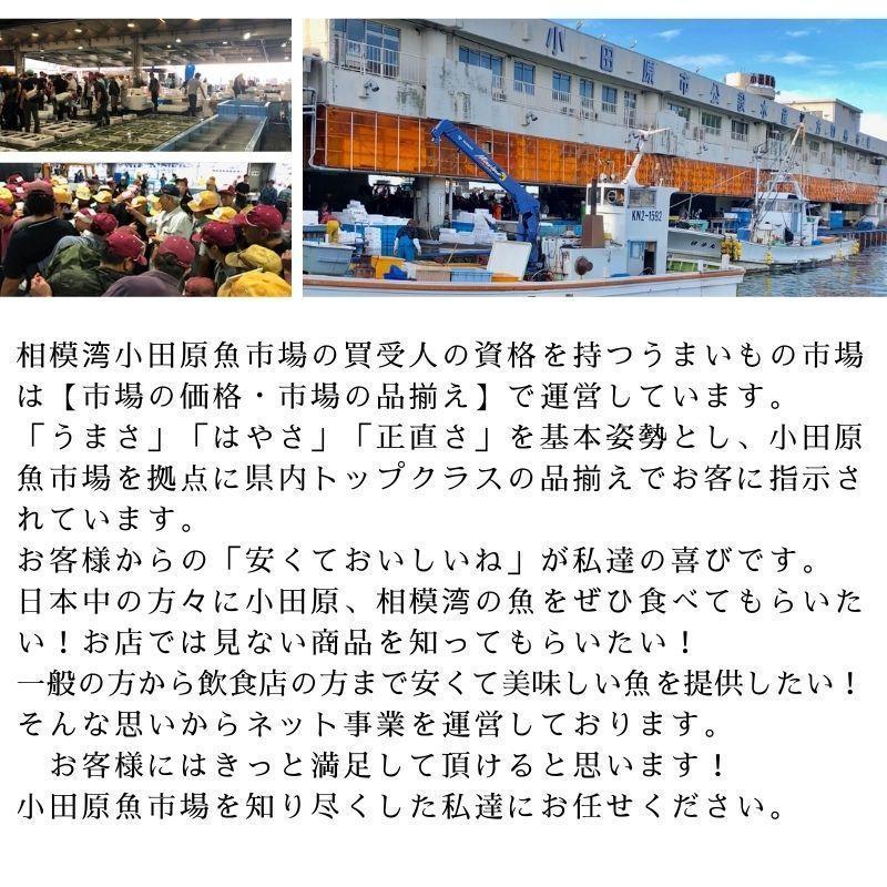 生 わかめ 鳴門産 6袋 (1袋250g入り)  おひたし、サラダ、酢の物、味噌汁に