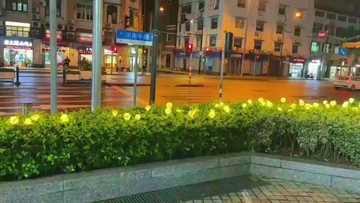 太陽能戶外防水蘆葦燈景觀庭院燈室外草坪燈圓球插地燈亮化裝飾燈
