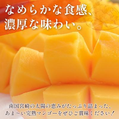 ふるさと納税 新富町 完熟マンゴー2L×2個