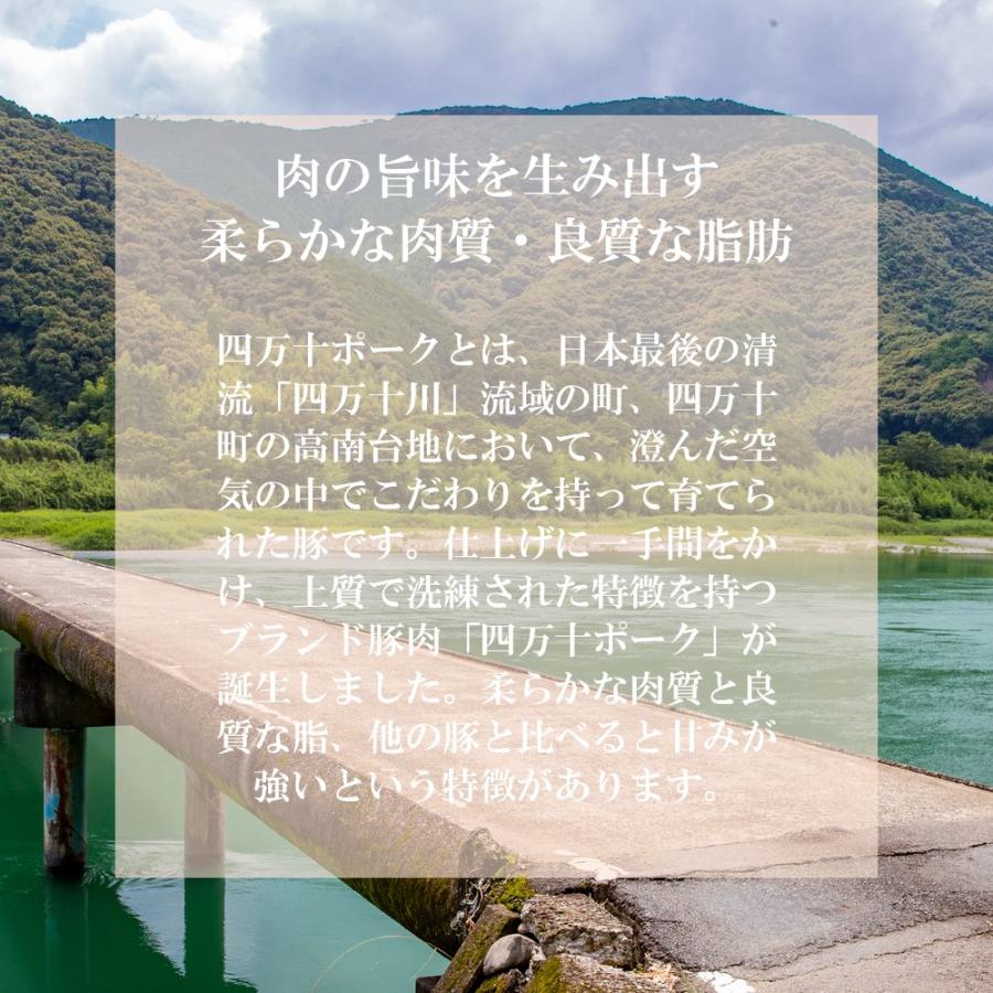 トンテキ 豚肉 ロース 豚肉 おすすめ 四万十ポーク 400g 送料無料 お取り寄せ グルメ 国産 父の日 母の日 お中元 御中元 プレゼント