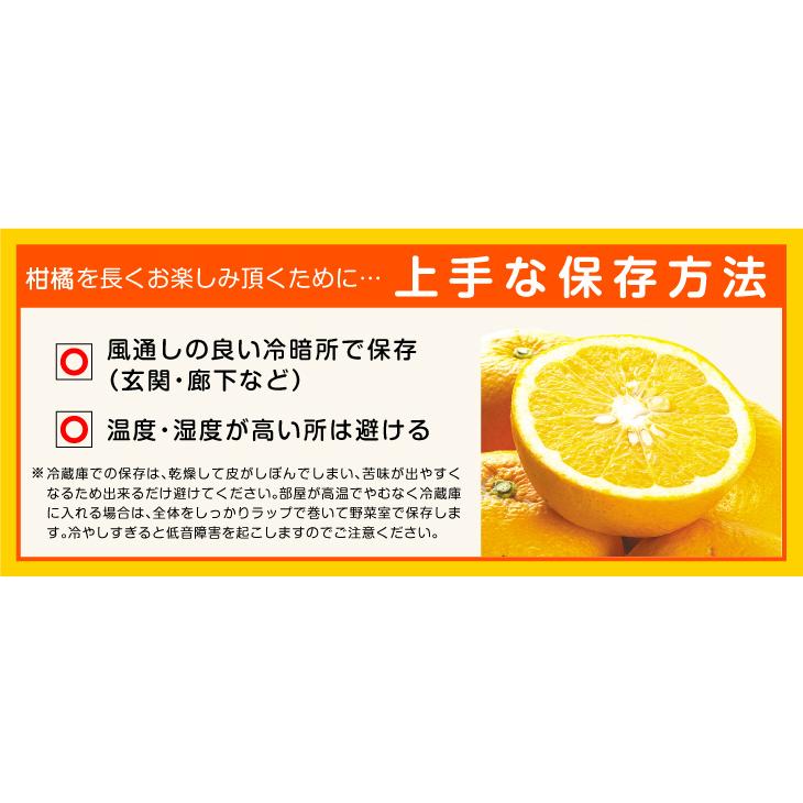 みかん 10kg 紀南の極甘みかん 和歌山産 蜜柑 ご家庭用 送料無料 食品