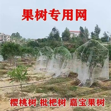 果樹防鳥網 櫻桃樹枇杷樹嘉寶樹防鳥罩 尼龍網 葡萄園擋鳥攔 鳥網子 家用農用 尼龍網 養殖網 保護網大棚防鳥罩用 1YA