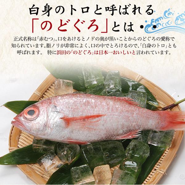 のどぐろ しゃぶしゃぶ鍋セット 3〜4人前 100g×3皿 山陰沖産 国産 お歳暮 ギフト お取り寄せ グルメ 贈り物 産地直送 熨斗対応