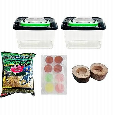 カブトムシ＆クワガタ 飼育セット 【 ☆クワガタ カブトムシ
