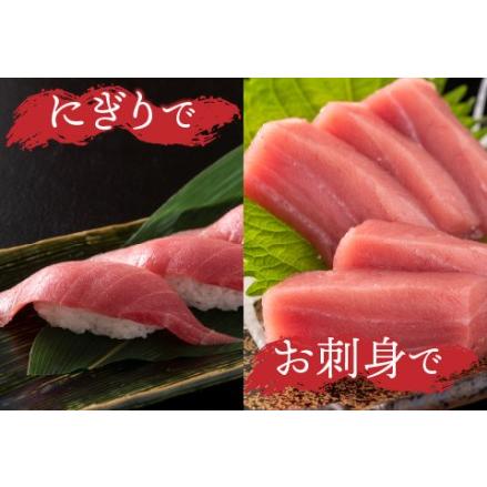 ふるさと納税 本マグロ　中トロ　500g（柵どり） 福井県鯖江市