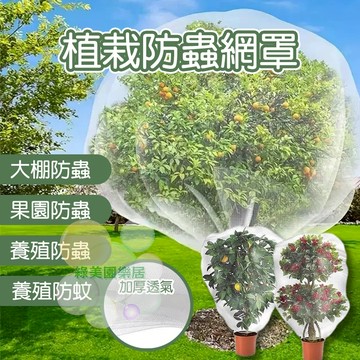 大型防蟲防鳥罩【台灣現貨速出】防蟲罩 防鳥罩 防蟲網 防鳥網 果樹網 無花果防鳥網 樹葡萄防鳥 果樹防鳥