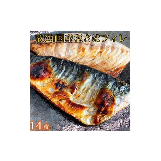 ふるさと納税 和歌山県 九度山町 人気の魚の幸定期便（塩サバ・うなぎ蒲焼・鮭切身）