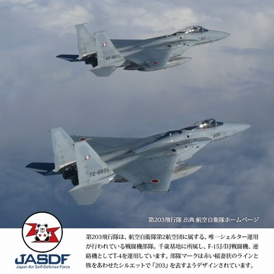 数量限定品 航空自衛隊 第203飛行隊 60周年 記念 パッチ 刺繍