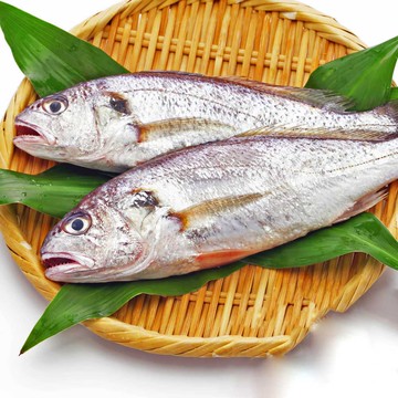 野生白口魚 3去 150g-180g/隻！【海產教父】