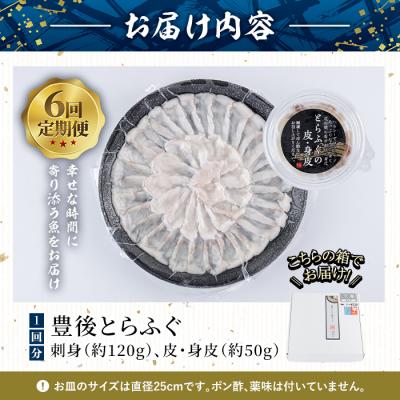 ふるさと納税 佐伯市 とらふぐ刺身 (総量約1kg・2-3人用×6回)