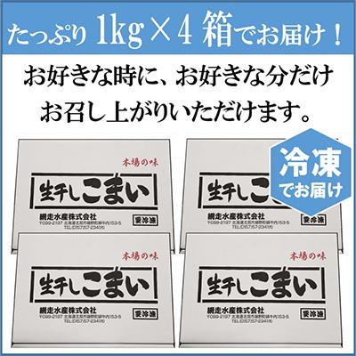 ふるさと納税 北見市 北海道産 生干しこまい(1kg×4箱セット)