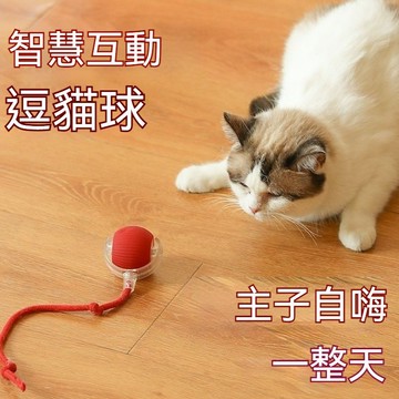 電動逗貓球 滾滾球 寵物玩具 智能逗貓球 貓咪玩具球 自嗨解悶自動逗貓棒 遛貓遛狗突突球 電動滾滾球 逗貓玩具0vg