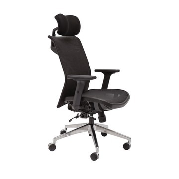 完美主義│爾德機能水紋透氣網墊電腦椅 MIT台灣製 椅子 電腦椅 書桌椅 辦公椅 【I0319】