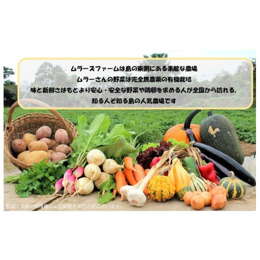 ふるさと納税 島根県 海士町 季節の野菜詰め合わせ（7〜8種）と平飼い卵セット！農薬不使用だから安心安全！