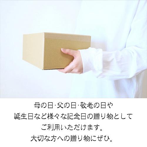 グルメna塩麹焼き　焼魚　6種6切　惣菜　お弁当　おかず　ご自宅用　骨なし　手作り　電子レンジ　温めるだけ　塩麹漬け　送料無料　ギフト　冷凍