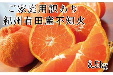 紀州有田産不知火(しらぬひ) 約8.5kg ※2024年2月上旬頃～2024年3月下旬頃に順次発送予定(お届け日指定不可)