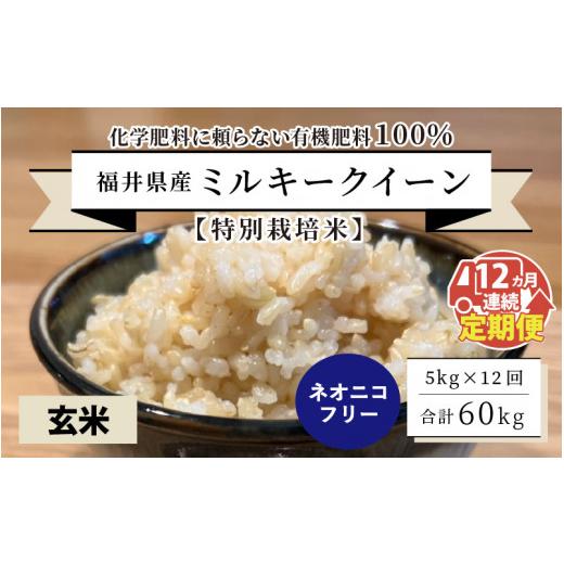 ふるさと納税 福井県 坂井市 福井県産 ミルキークイーン5kg×12回 計60kg 〜化学肥料にたよらない100%の…